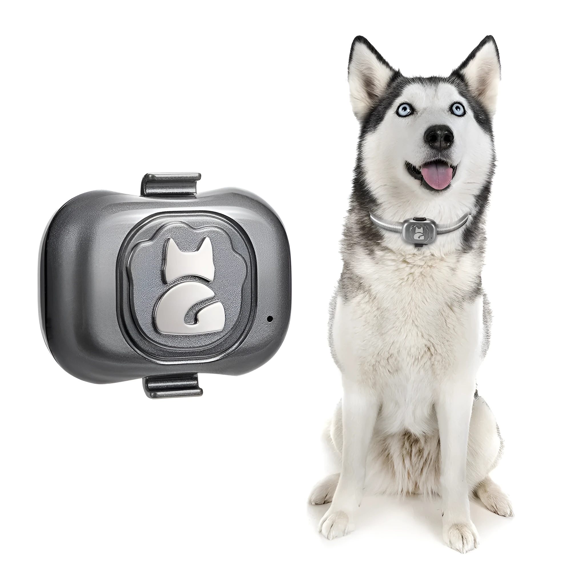 Black pet GPS locator tracker with hanging rope for attachment to dog or cat collars