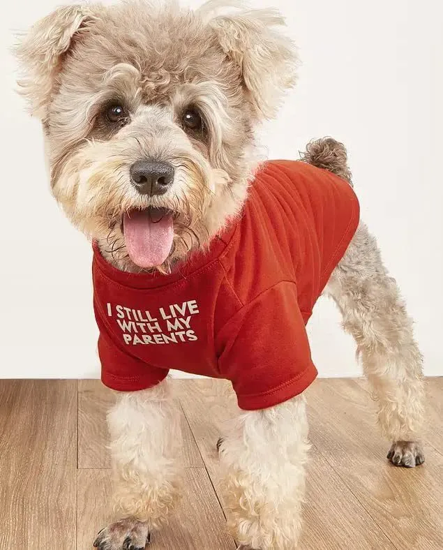 Round neck polyester pet T-shirt in red, blue, black, and khaki, sizes S to XXL