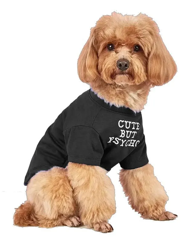 Round neck polyester pet T-shirt in red, blue, black, and khaki, sizes S to XXL
