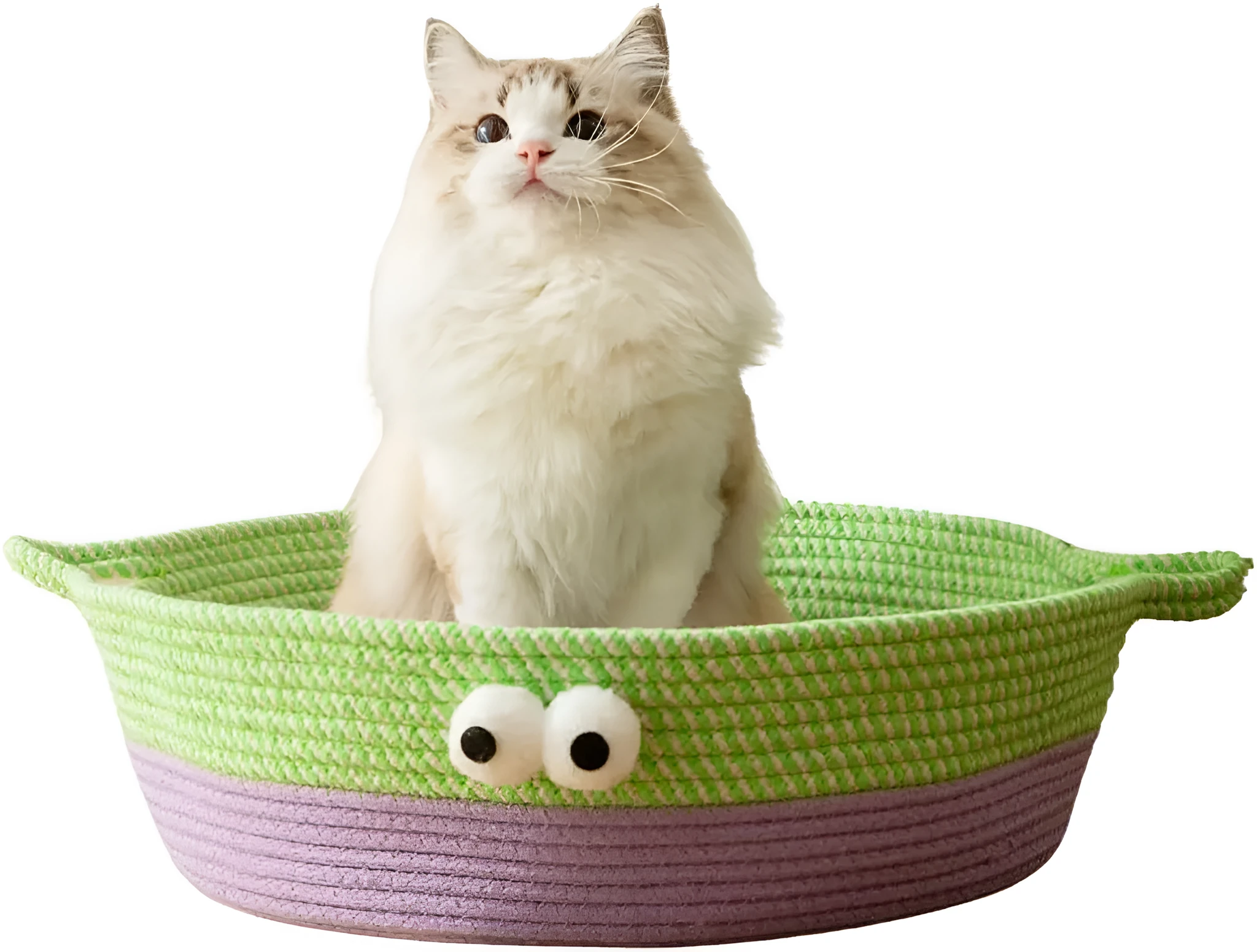 Round woven natural cotton rope cat bed in green with spiral edge, size M, on wooden floor