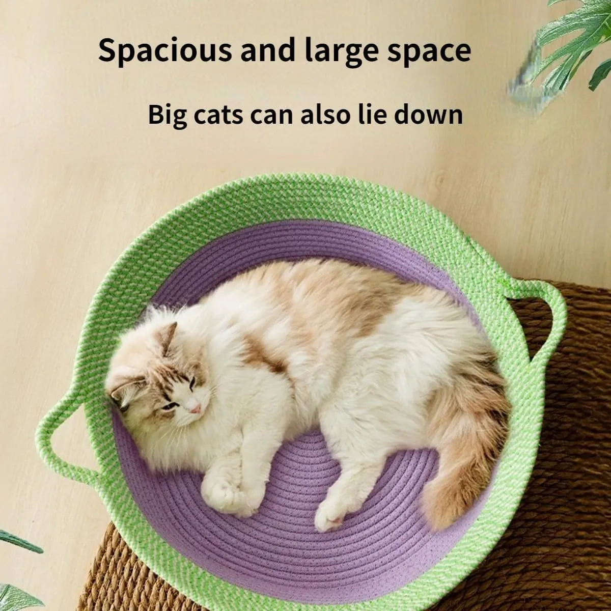 Round woven natural cotton rope cat bed in green with spiral edge, size M, on wooden floor