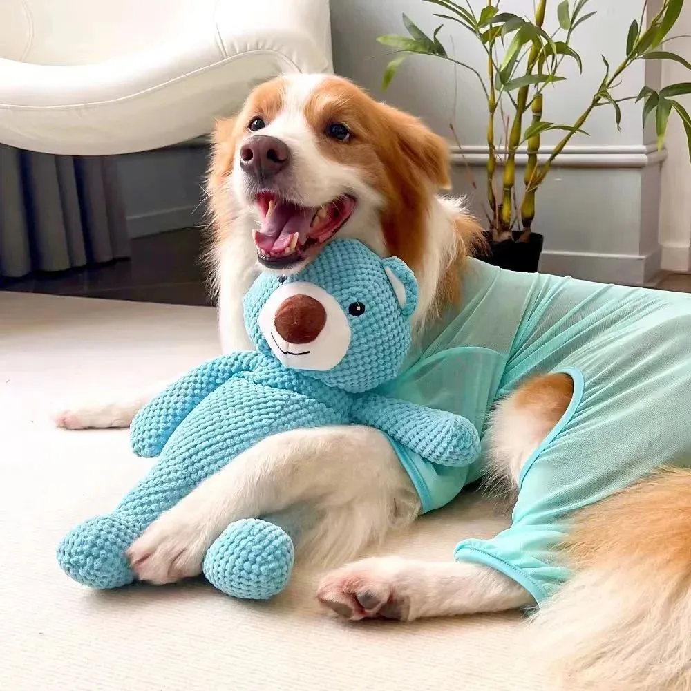 Soft plush squeaky bear dog toy for chewing and molar training, sizes M and L