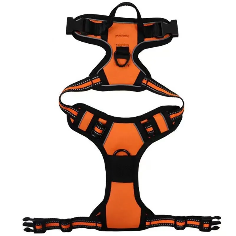 Nylon dog rope in black with chest and back design and 1.5 metre rope