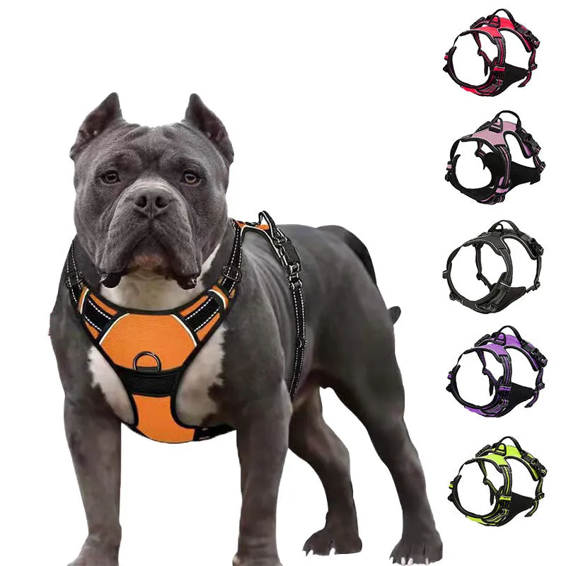 Nylon dog rope in black with chest and back design and 1.5 metre rope