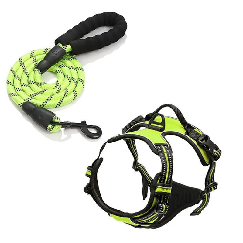 Nylon dog rope in black with chest and back design and 1.5 metre rope