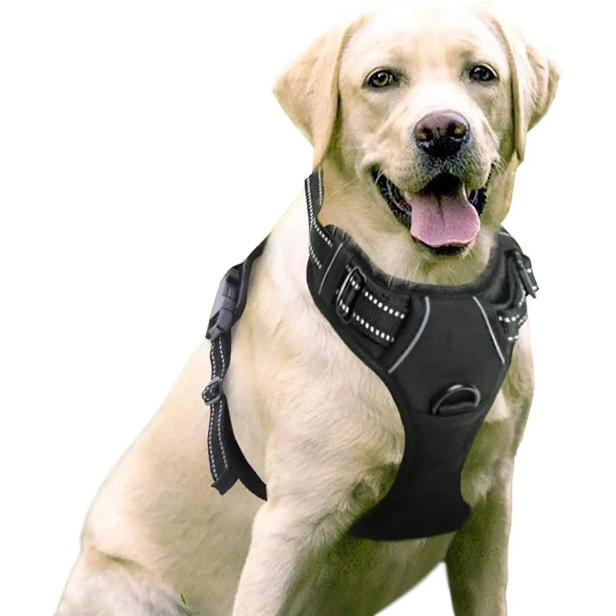 Nylon dog rope in black with chest and back design and 1.5 metre rope