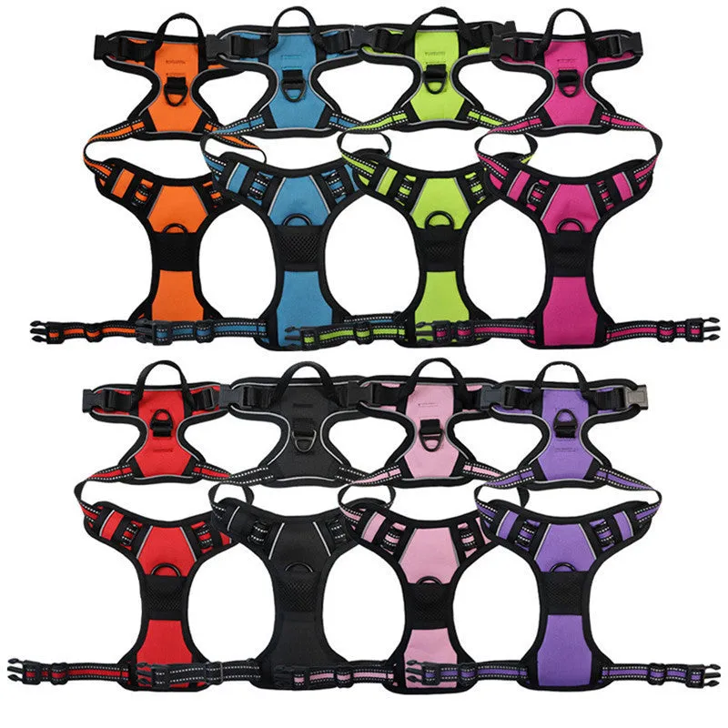 Nylon dog rope in black with chest and back design and 1.5 metre rope