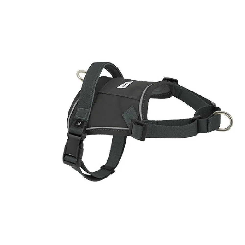 Dog chest back vest leash in buckwheat grey made from eco-friendly RPET and nylon with adjustable straps