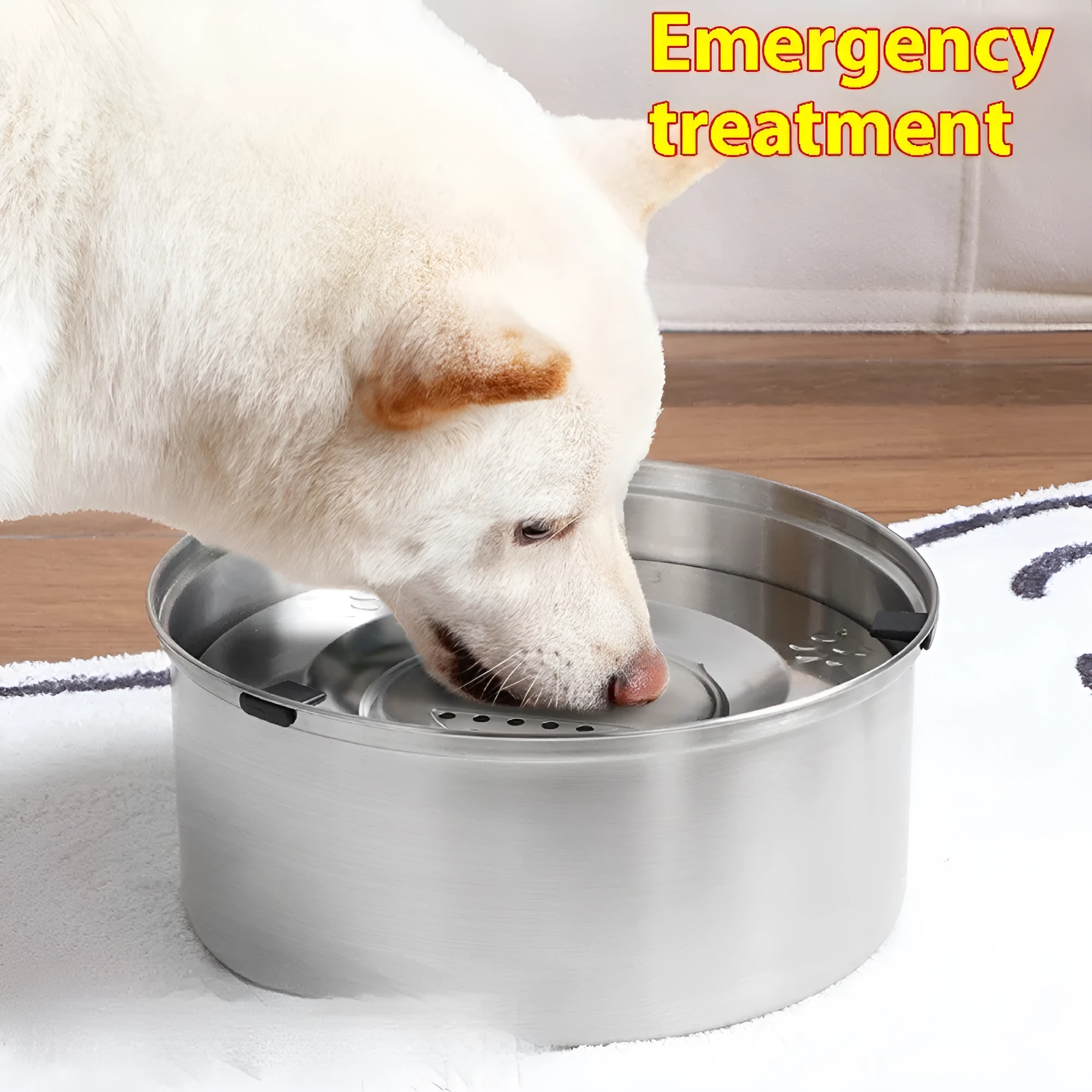 Silver stainless steel large capacity pet drinking water bowl for dogs and cats, 1L size shown