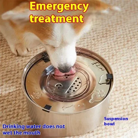 Silver stainless steel large capacity pet drinking water bowl for dogs and cats, 1L size shown