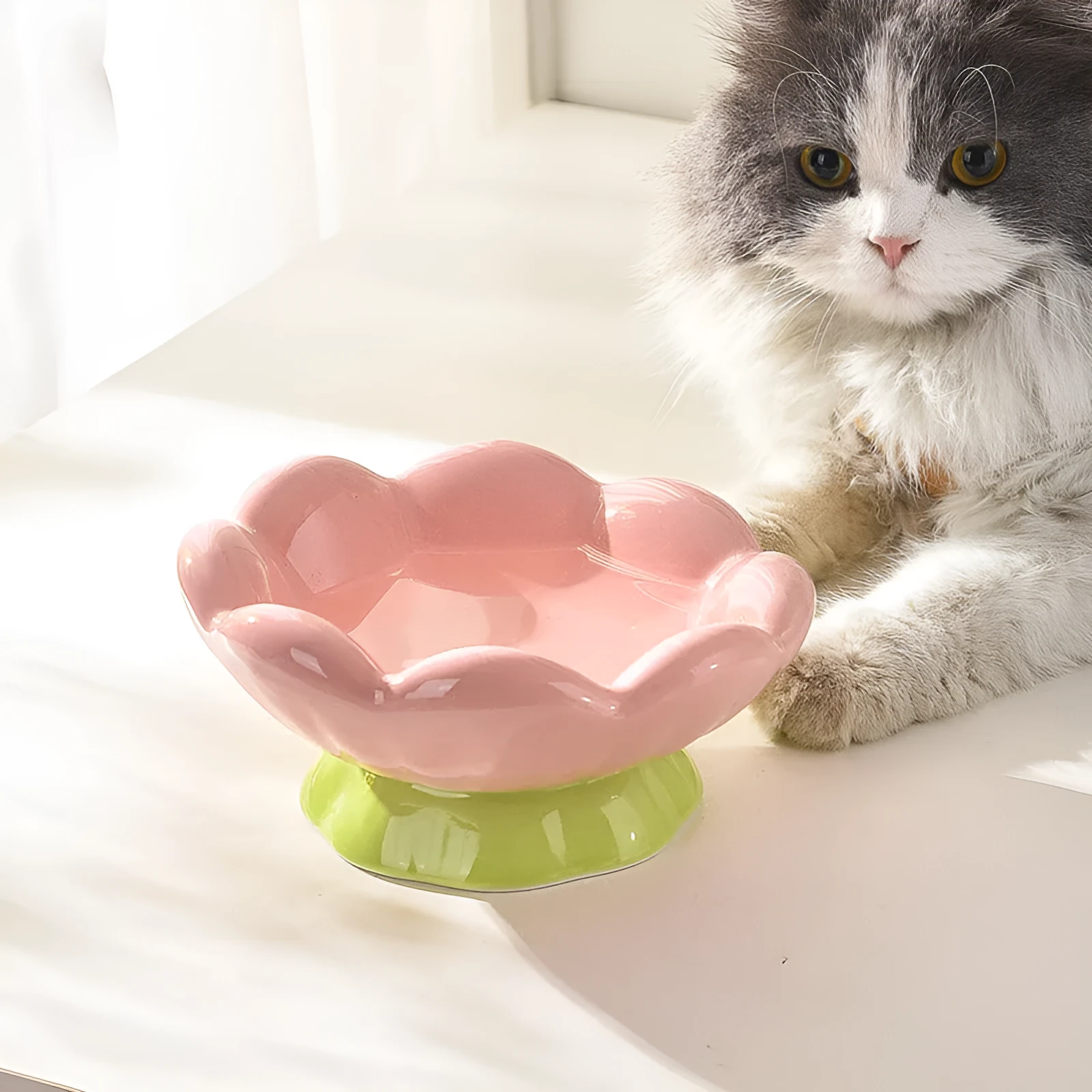 Pink ceramic raised cat bowl with wide shallow design, slanted angle, and flower shape on non-slip base