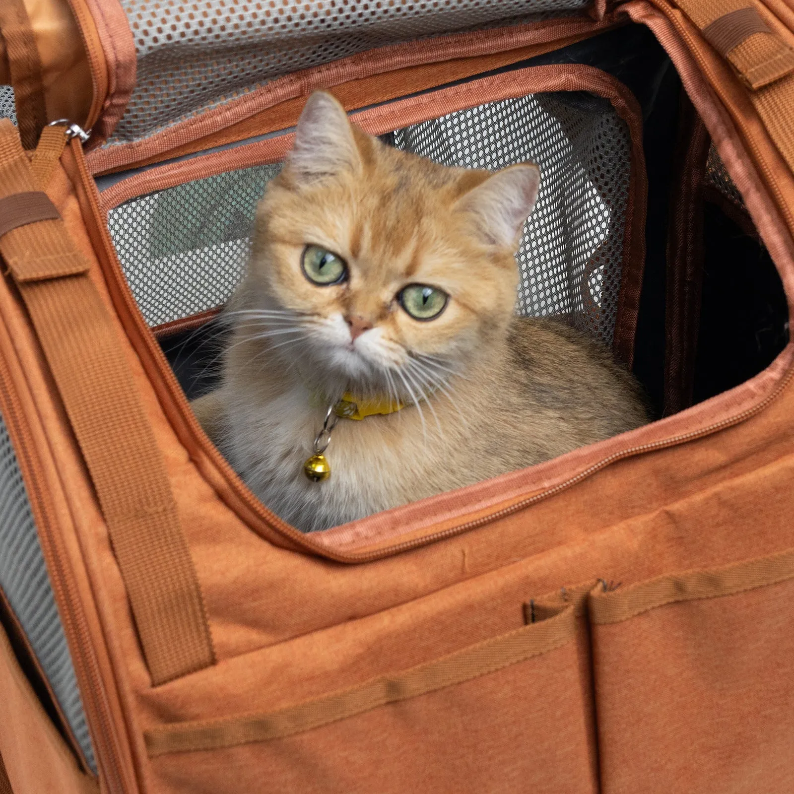 Gray expandable breathable cat backpack made of Oxford material with 55L capacity for outdoor pet travel