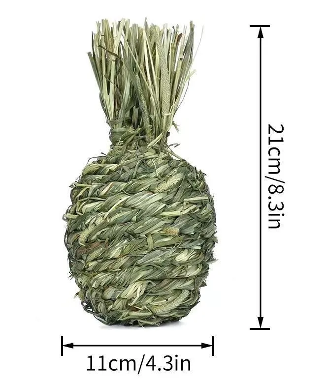 Timothy grass pet chew toy shaped like an apple for rabbits and guinea pigs