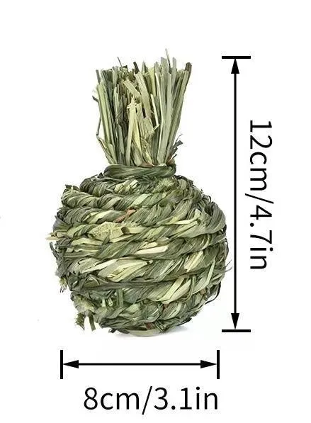 Timothy grass pet chew toy shaped like an apple for rabbits and guinea pigs