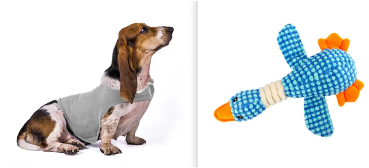 Acrylic pet anxiety jacket vest for cats and dogs in summer colours with plush toy