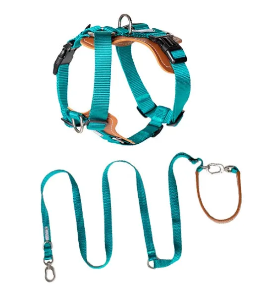 Dog rope leash multifunctional explosion-proof chest strap double pull in cardamom red for pets