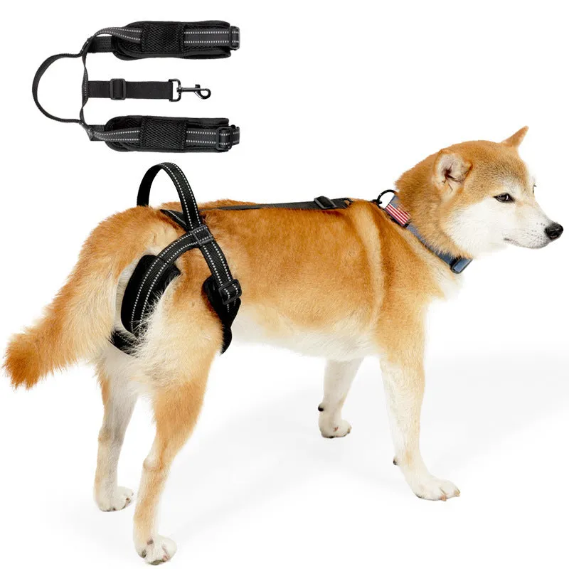 Black polyester pet rehabilitation hind legs auxiliary strap on a dog, three sizes available