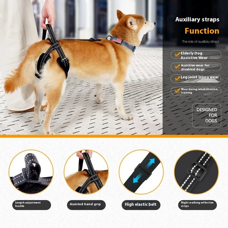 Black polyester pet rehabilitation hind legs auxiliary strap on a dog, three sizes available