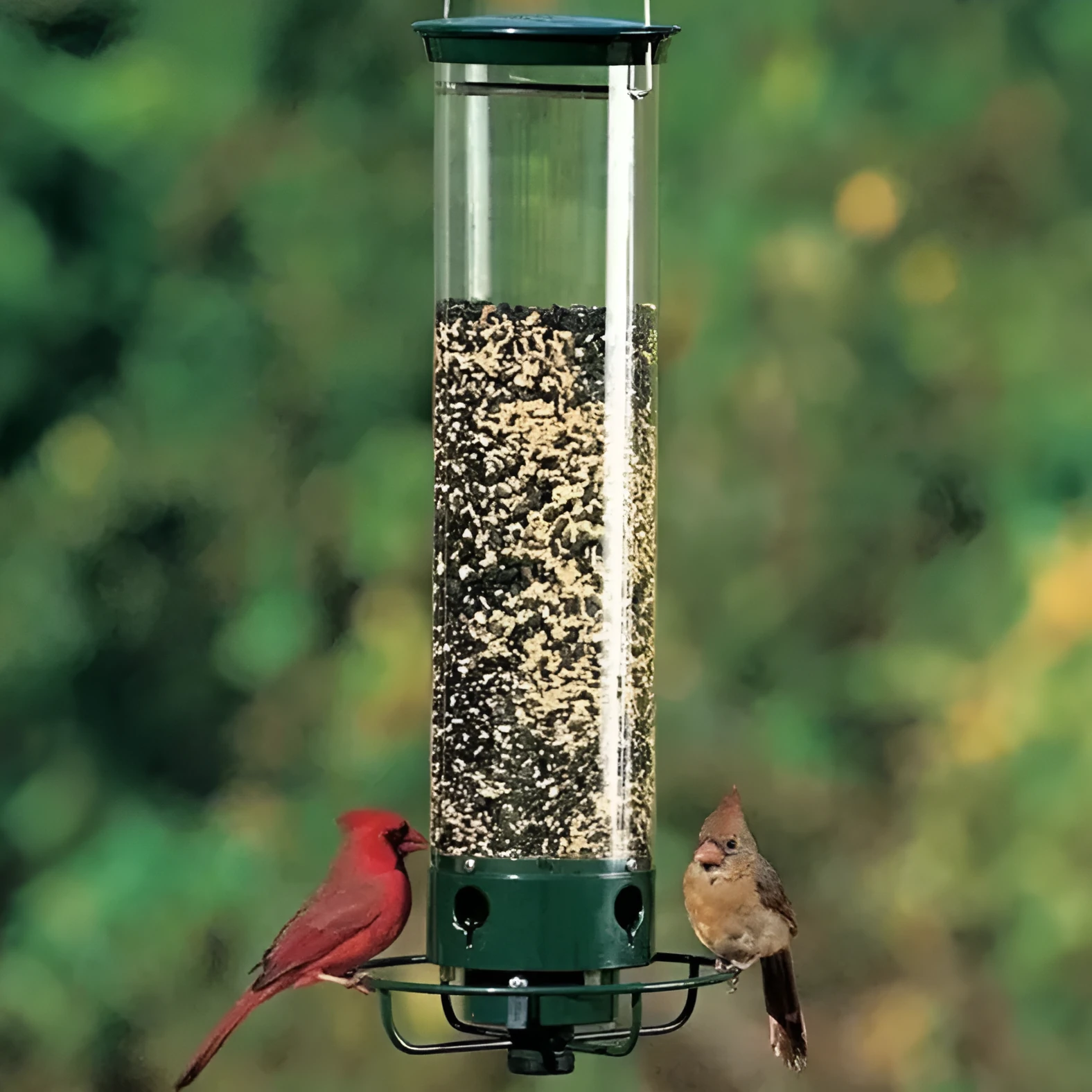 White metal hanging hummingbird feeder bird cage in geometric style with iron construction