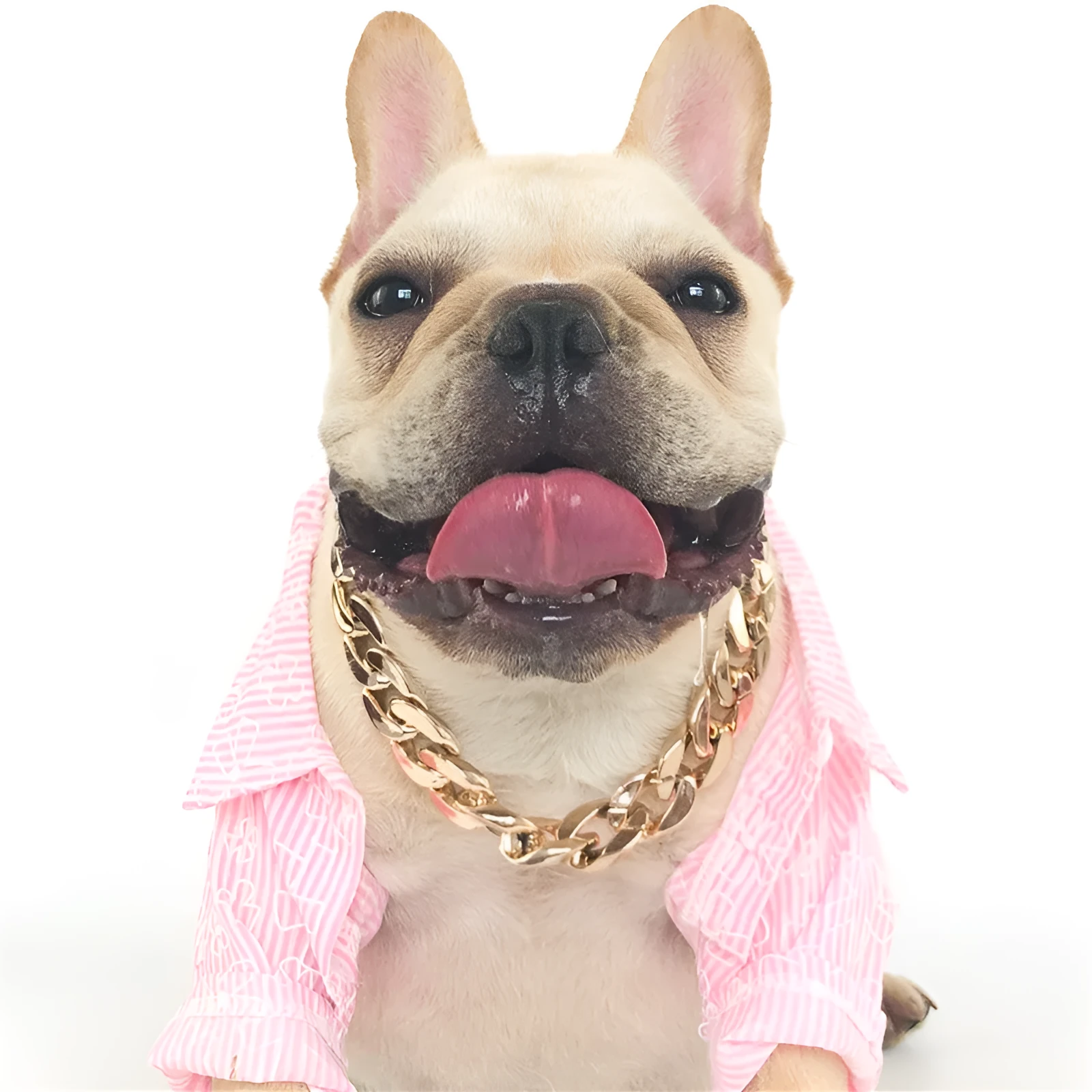 Gold colour chain dog collar ornament with geometric plastic resin design for small to medium dogs