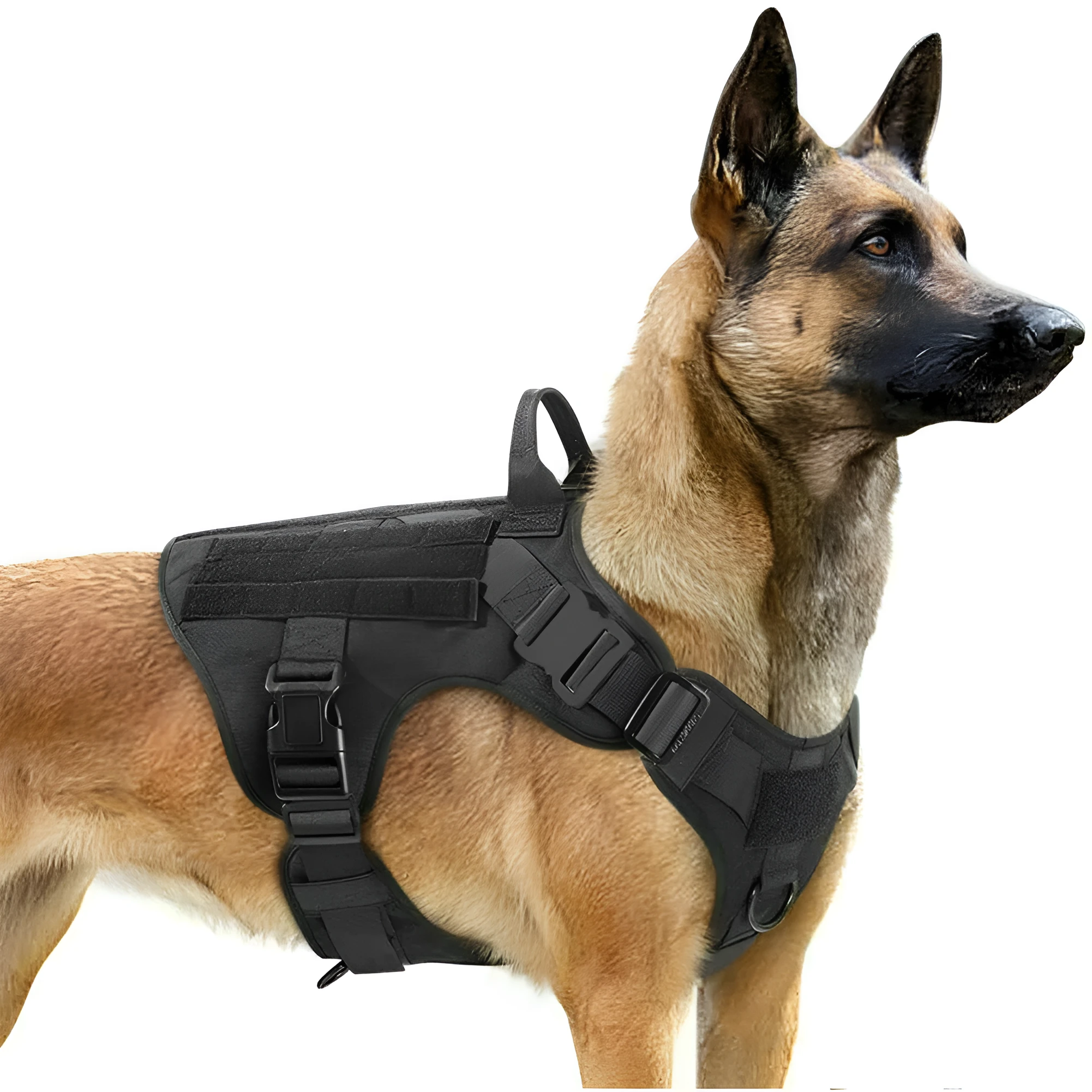Military tactical dog harness in khaki with adjustable straps, pockets, and metal connection points on a German Shepherd