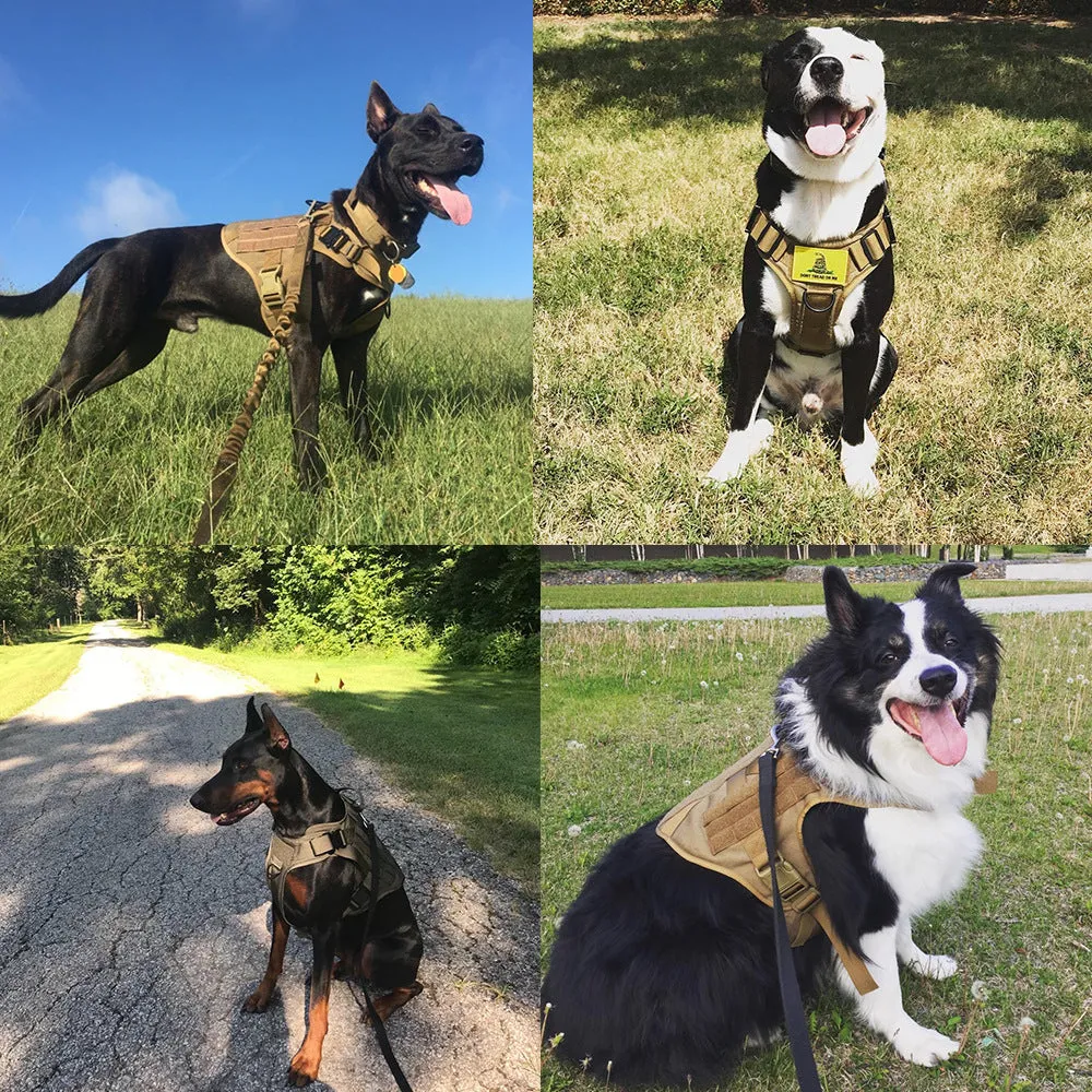 Military tactical dog harness in khaki with adjustable straps, pockets, and metal connection points on a German Shepherd
