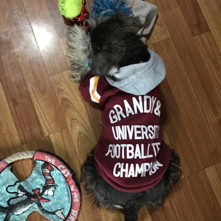 Red pet fleece sweater for dogs, cotton-polyester blend, size XS to XXL on a small dog