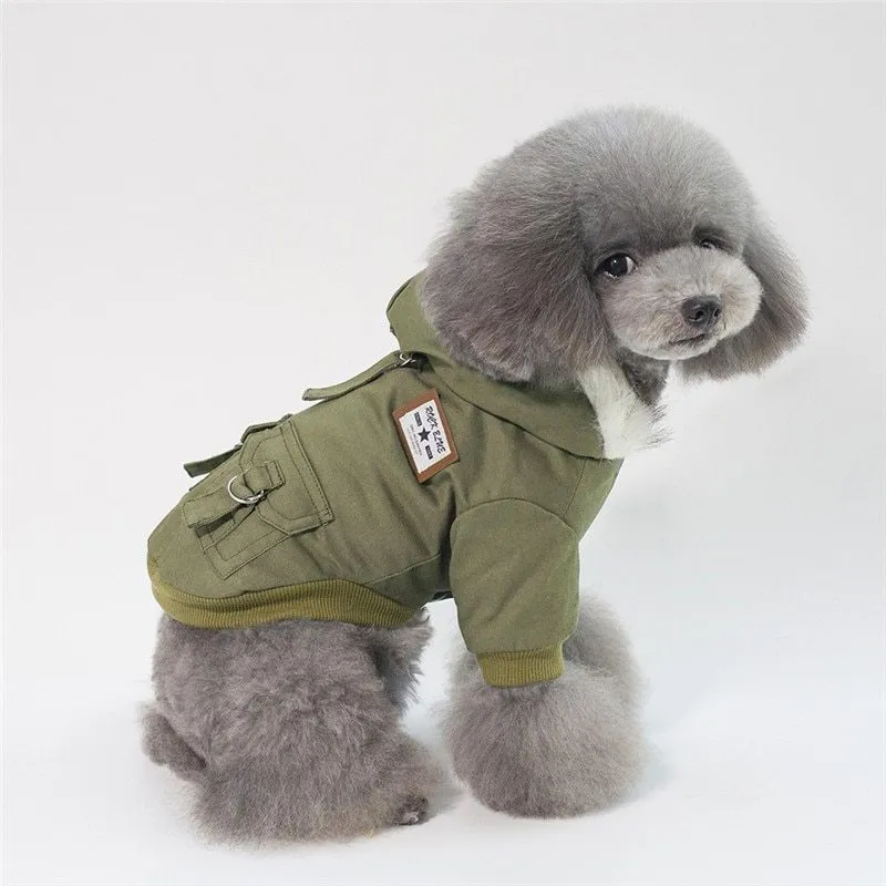 Small dog wearing a grey cotton and wool hooded coat standing on grass