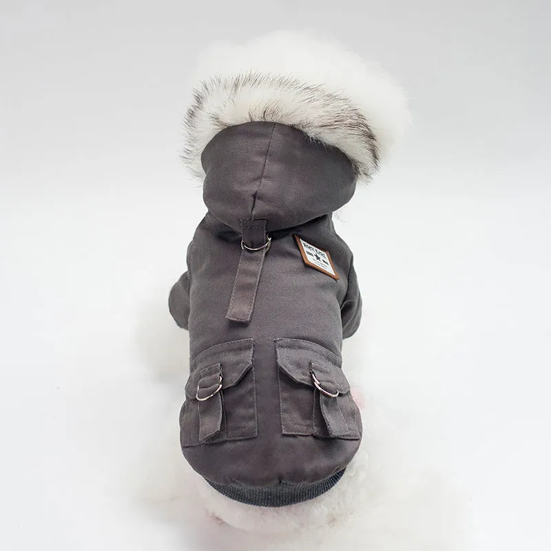Small dog wearing a grey cotton and wool hooded coat standing on grass