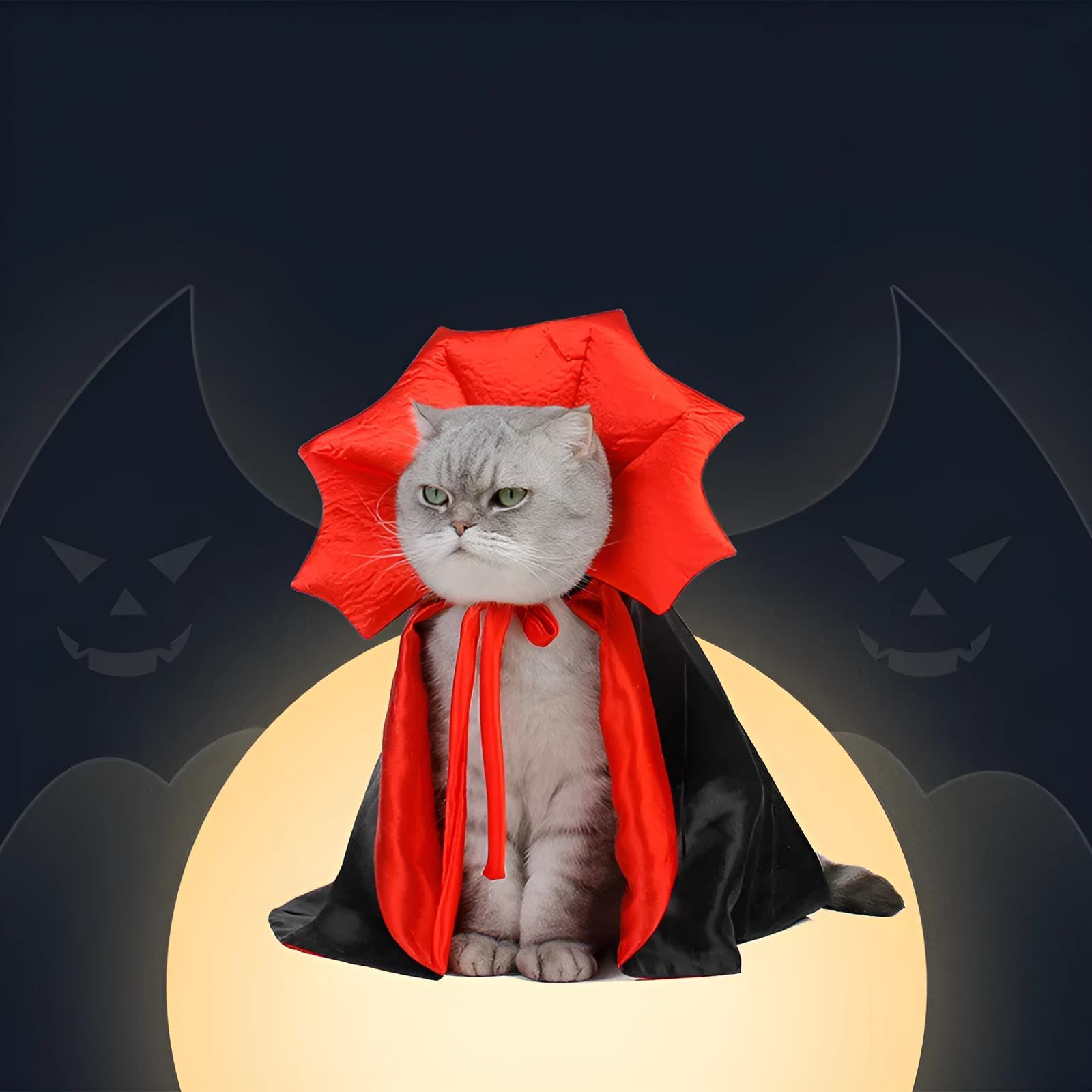 Black vampire king cape for pets with adjustable lace collar on a pet