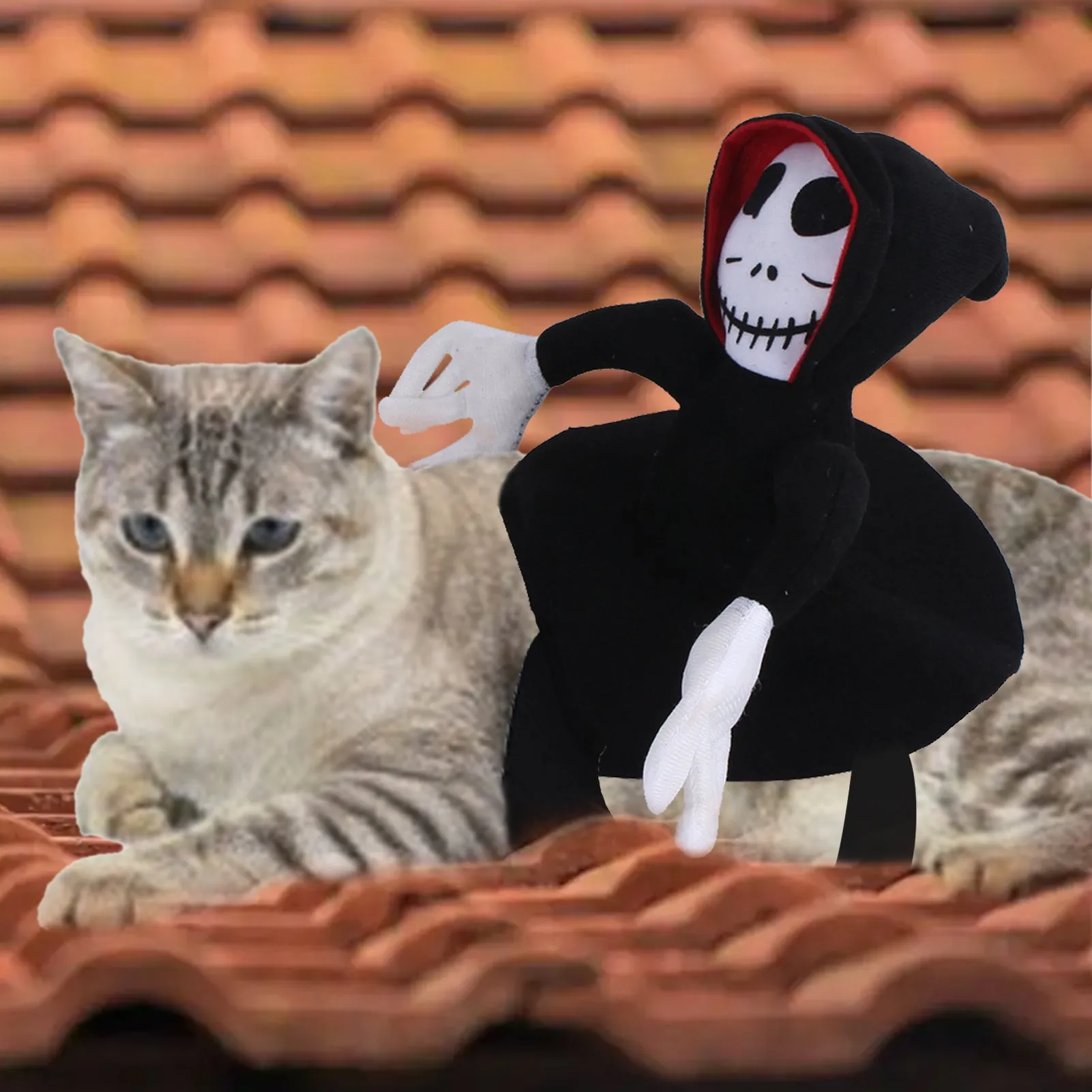 Goblin riding pet Halloween costume made from felt cloth with velcro straps in green colour on a cat or small dog.