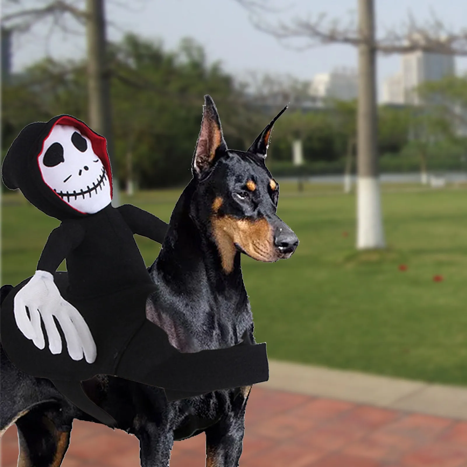 Goblin riding pet Halloween costume made from felt cloth with velcro straps in green colour on a cat or small dog.