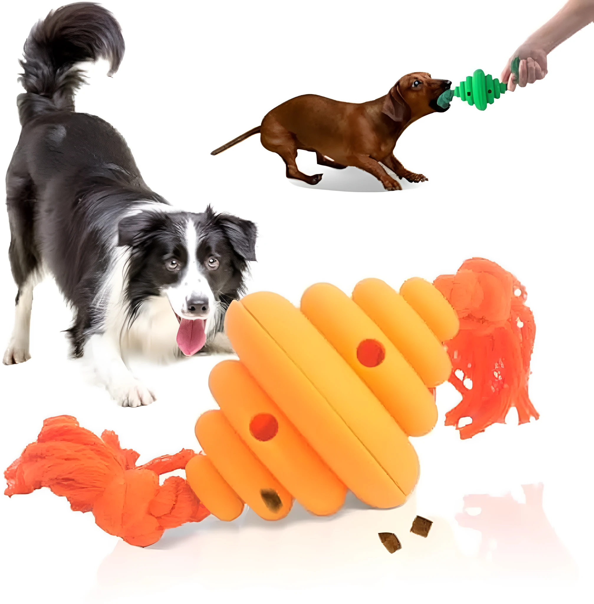 Green rope and ball dog toy with treat dispensing hole for large breeds