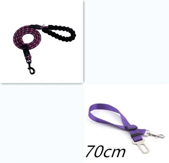 Reflective nylon dog leash 1.5m with black foam handle and zinc alloy hook on a black background
