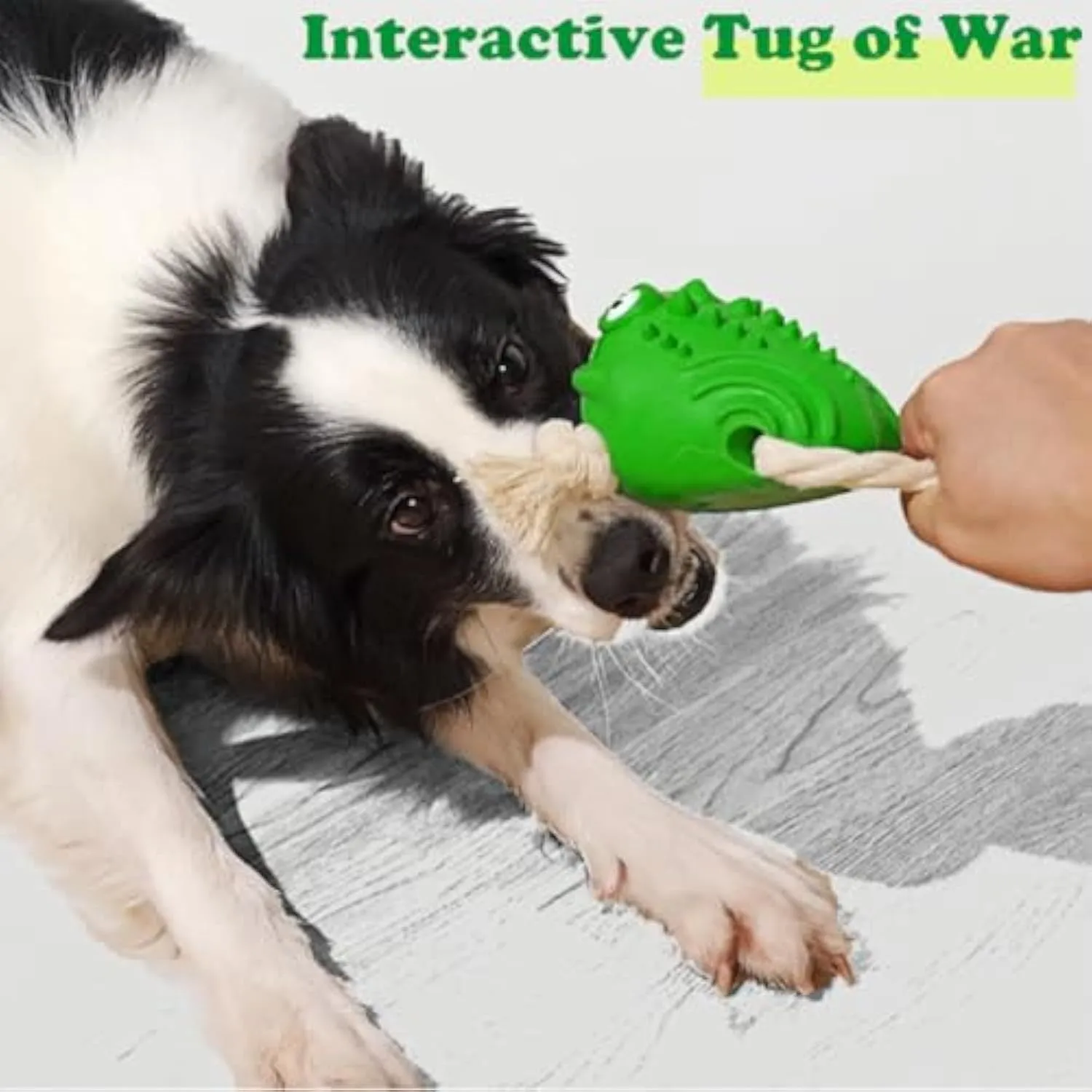 Green rubber cotton rope toad dog toy for aggressive chewers with squeaker and teeth-cleaning texture
