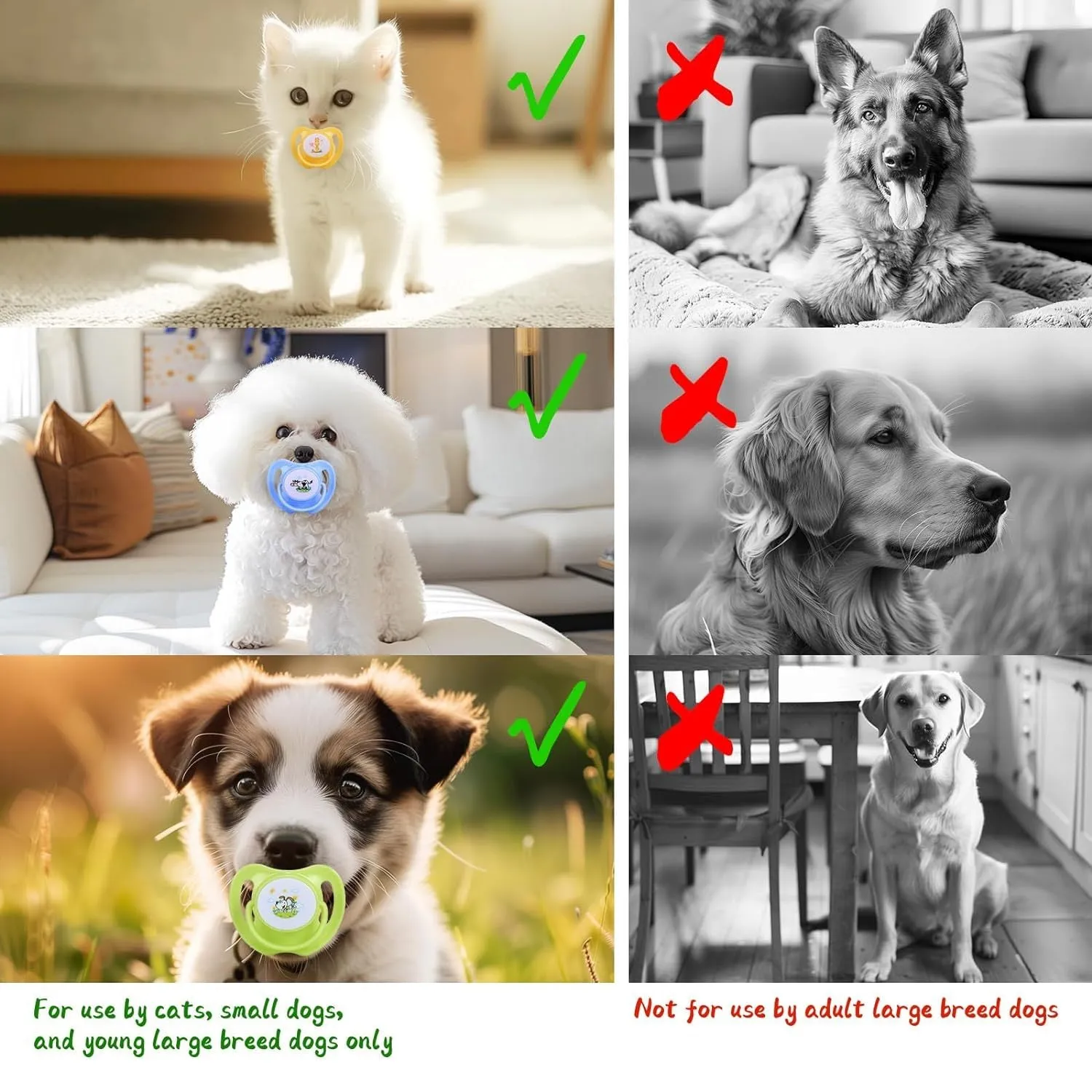 Blue silicone dog pacifier for small dogs with ventilation holes and dust-proof cover on pink background