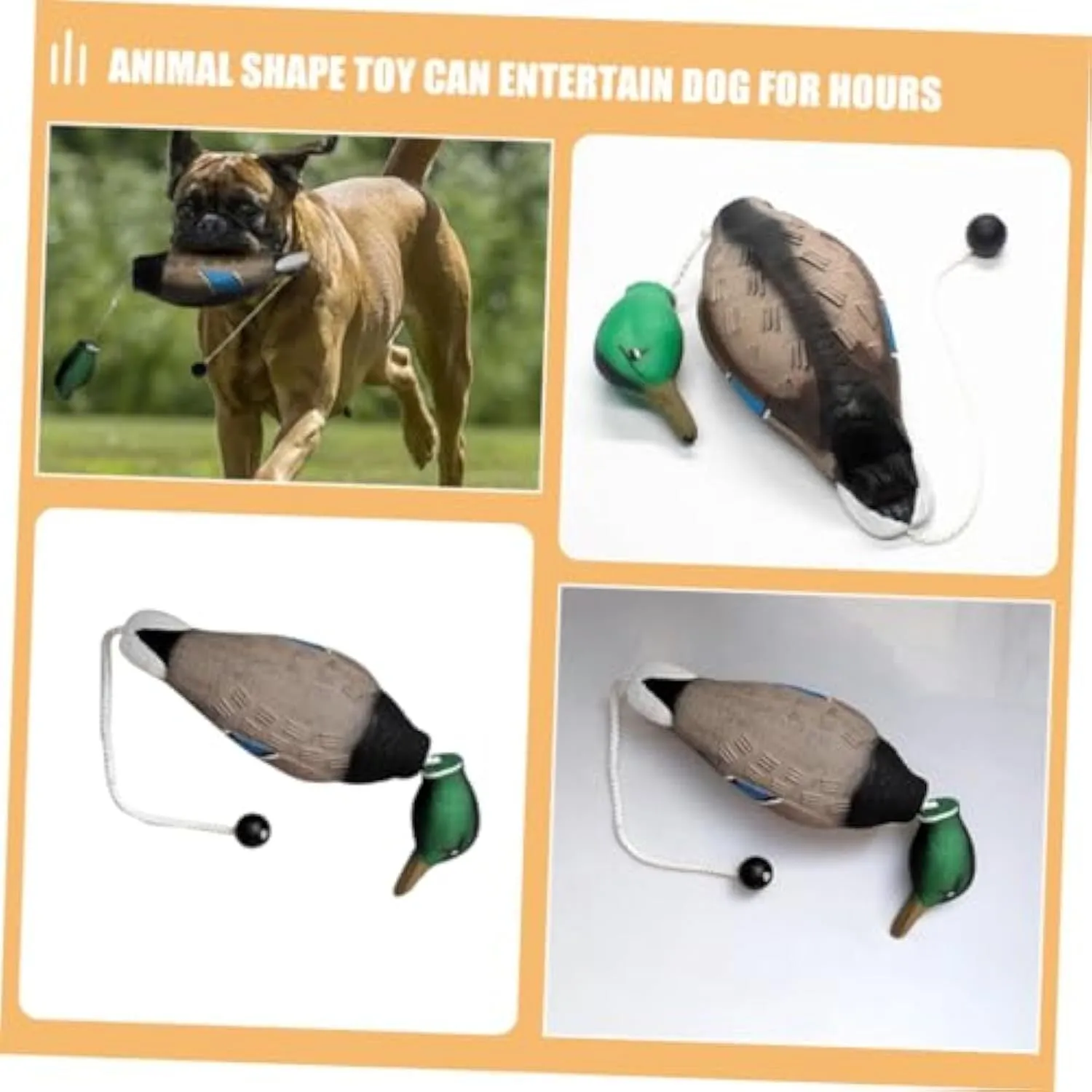 Green EVA duck dog toy with no stuffing and quacking sound, 35cm long, on white background
