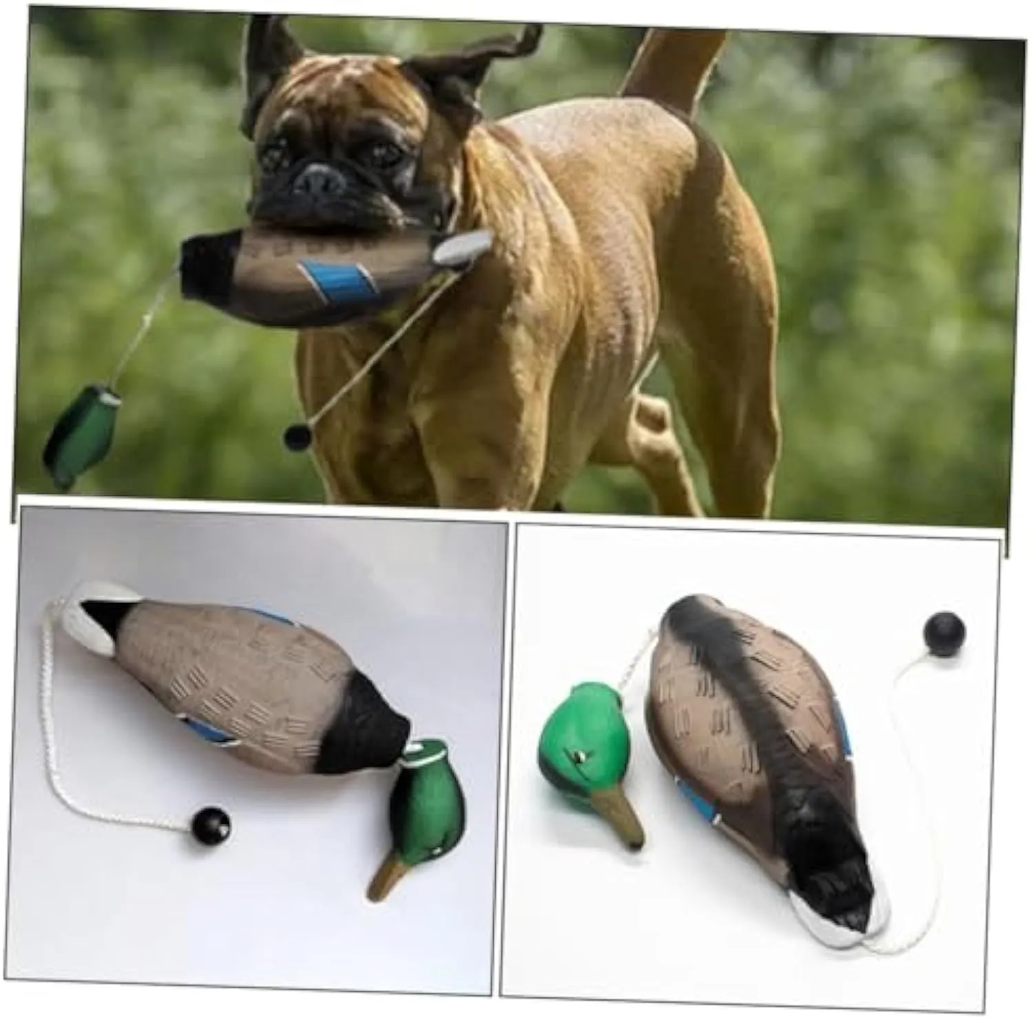 Green EVA duck dog toy with no stuffing and quacking sound, 35cm long, on white background