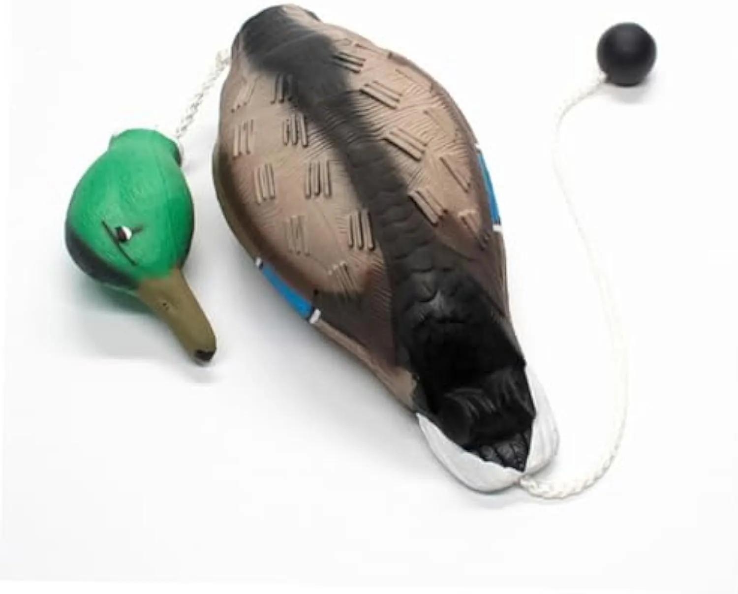Green EVA duck dog toy with no stuffing and quacking sound, 35cm long, on white background