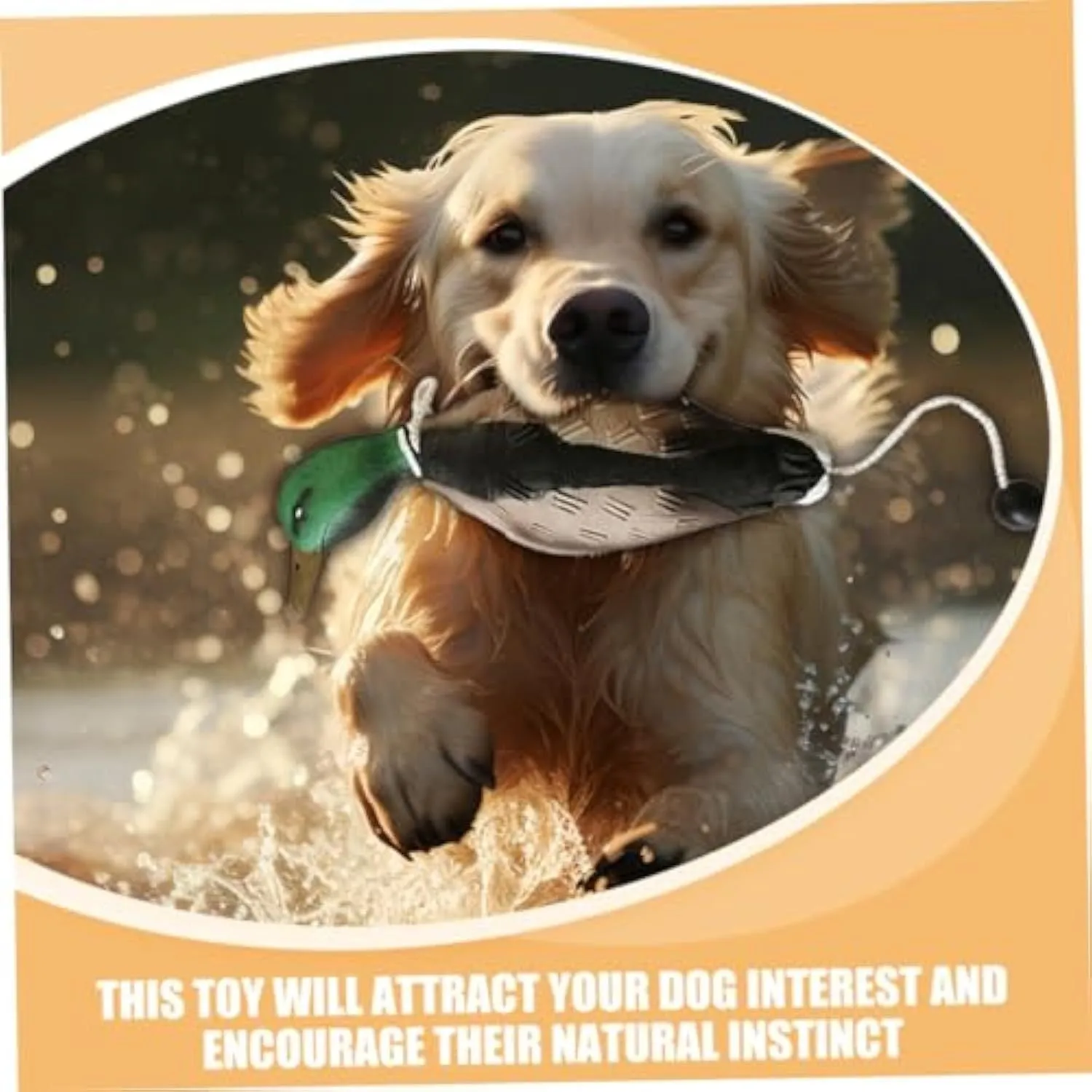 Green EVA duck dog toy with no stuffing and quacking sound, 35cm long, on white background