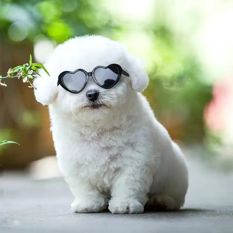 Doll sunglasses pet toy accessories PC full rim frame black film size, childlike style, multiple colours