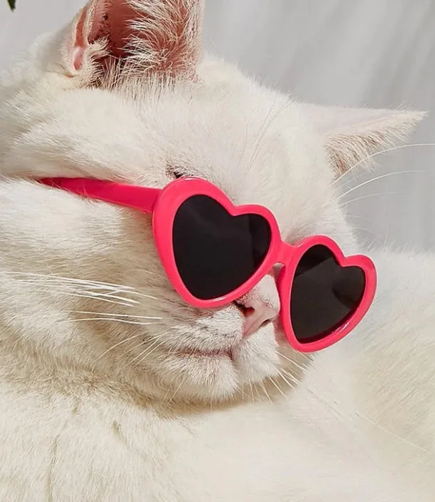 Doll sunglasses pet toy accessories PC full rim frame black film size, childlike style, multiple colours
