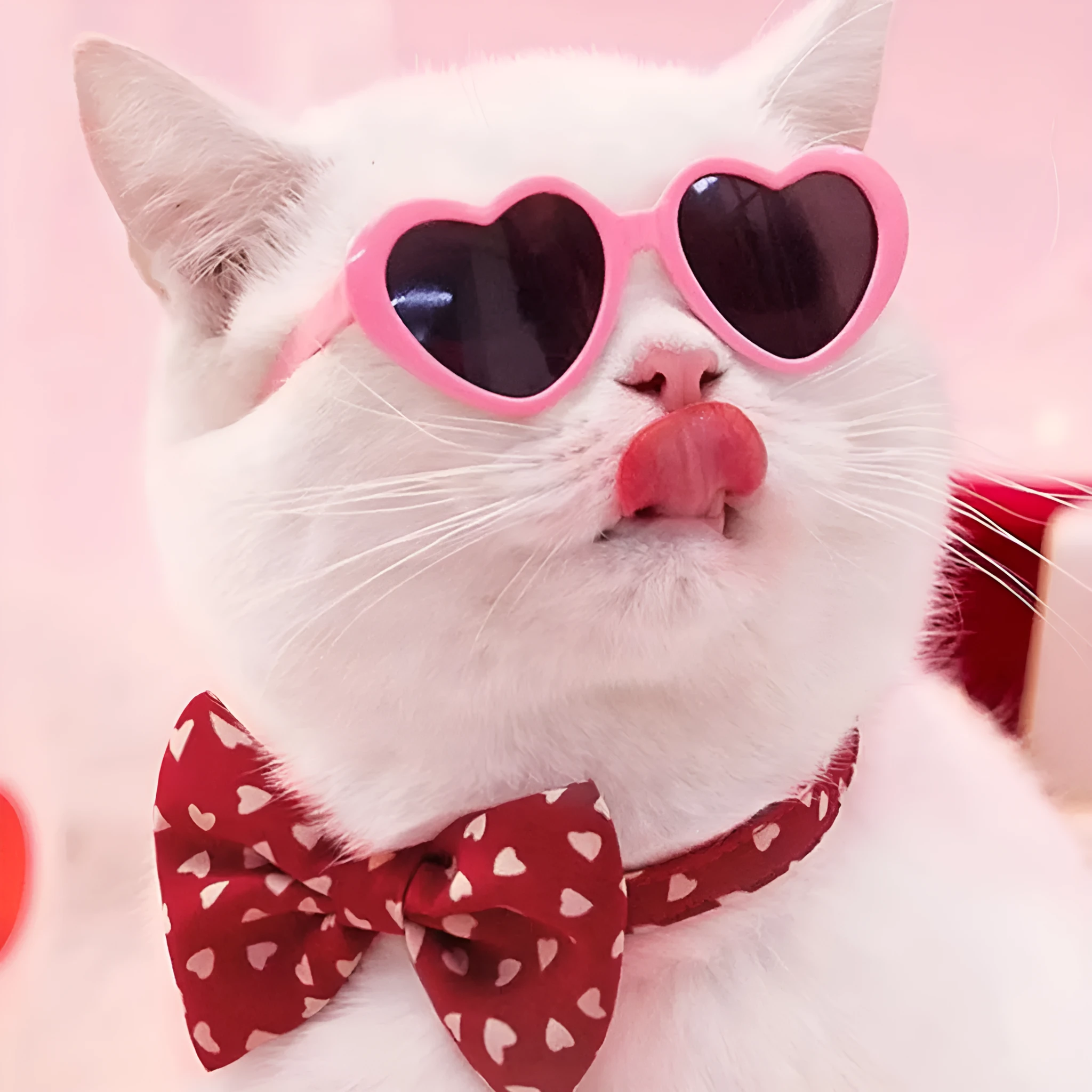 Doll sunglasses pet toy accessories PC full rim frame black film size, childlike style, multiple colours