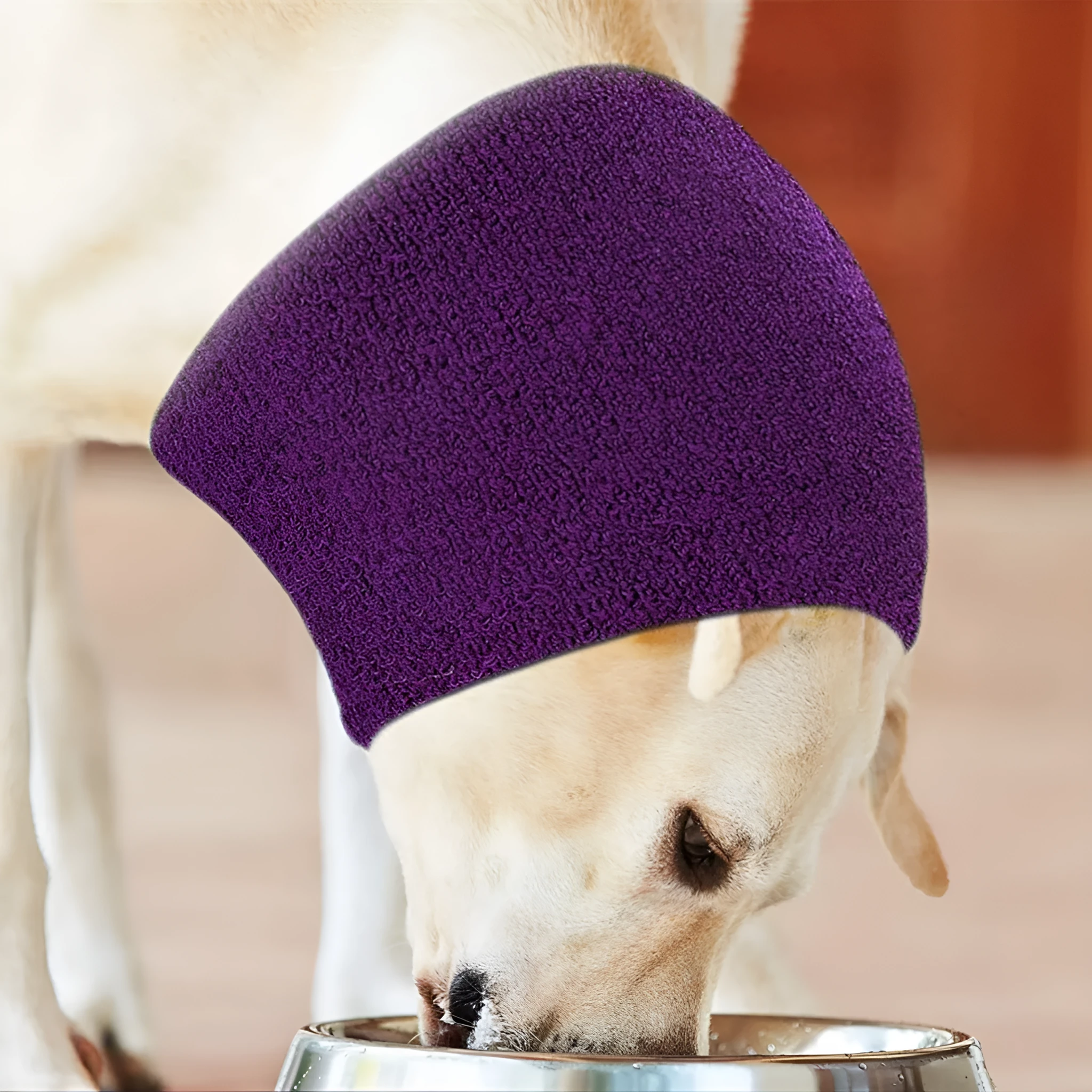 New Pet Thickened Beauty Earmuffs warm pet ears in blue colour on a dog