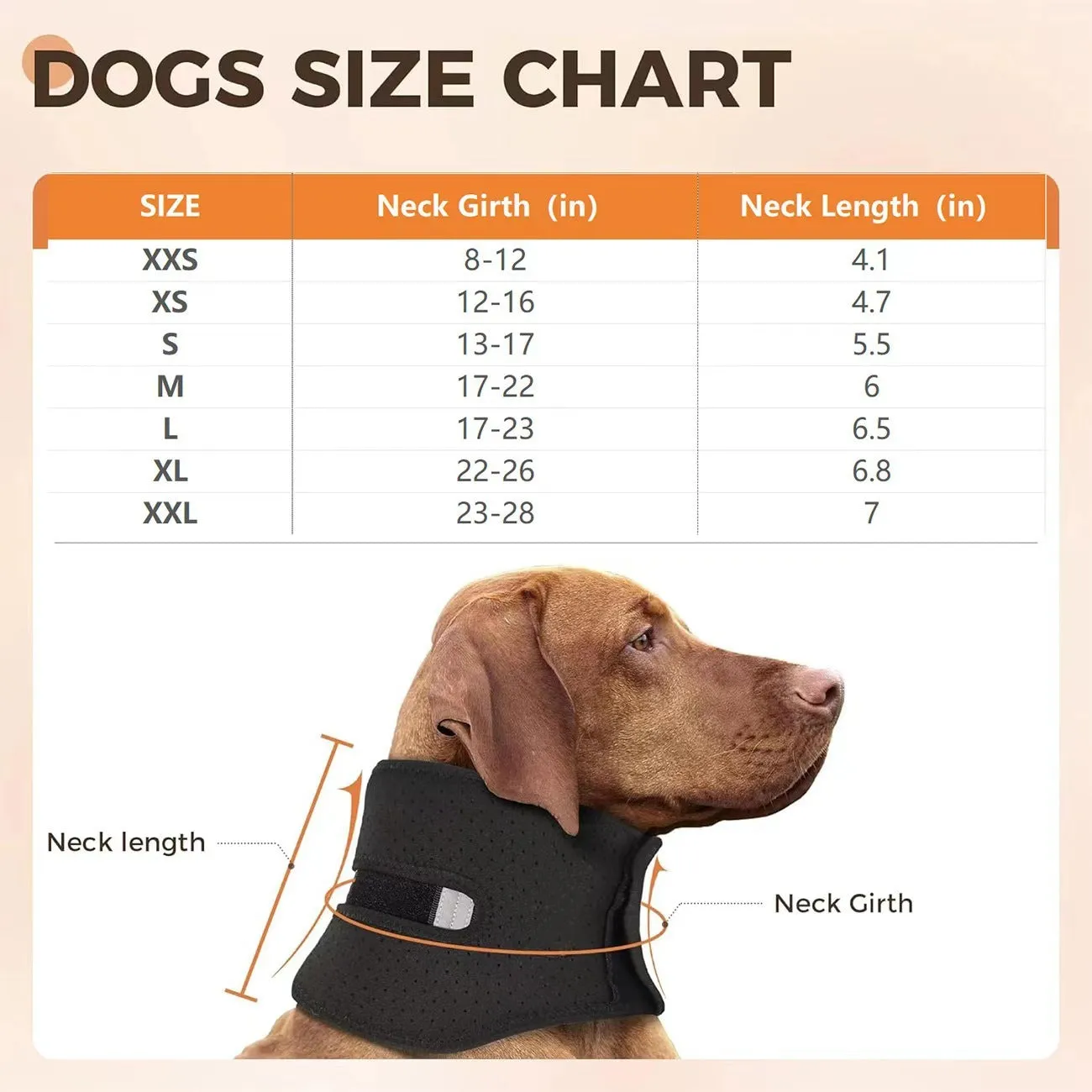 Adjustable dog support collar for neck sprain anti-licking recovery, available in multiple sizes for small to large dogs