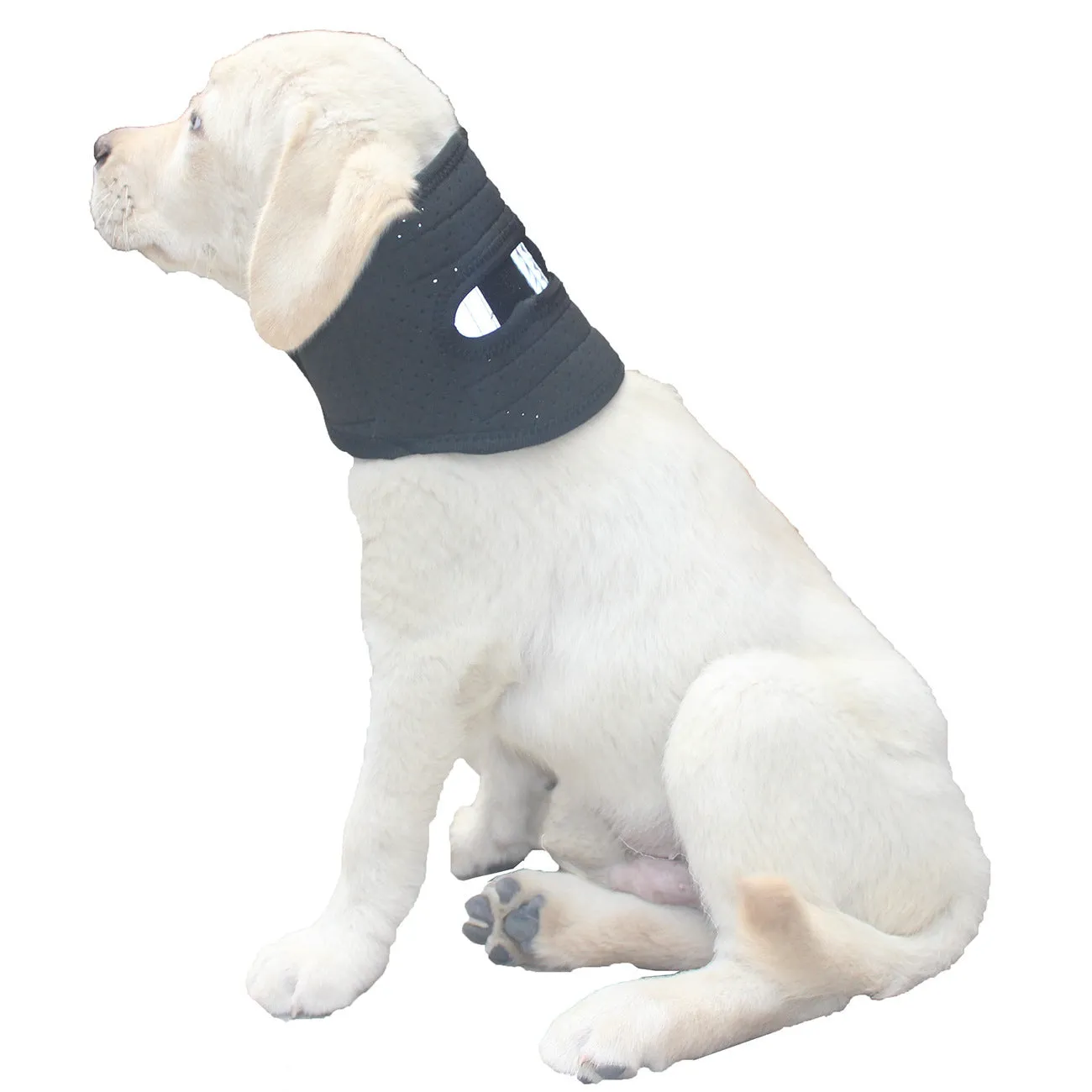 Adjustable dog support collar for neck sprain anti-licking recovery, available in multiple sizes for small to large dogs