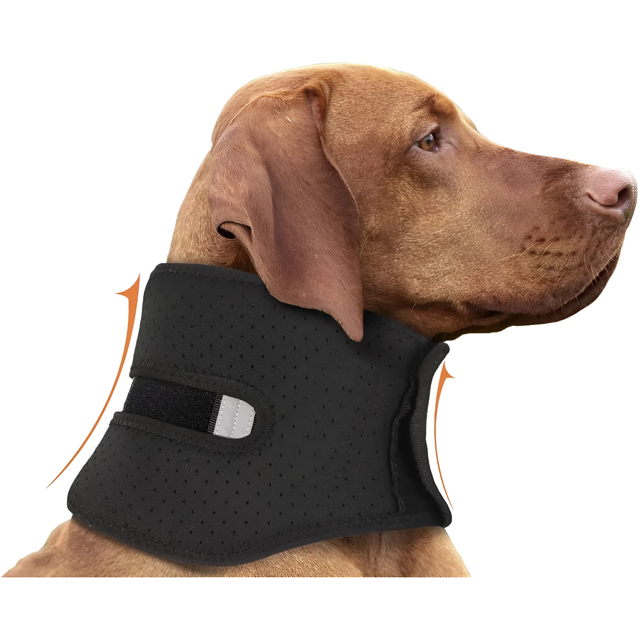 Adjustable dog support collar for neck sprain anti-licking recovery, available in multiple sizes for small to large dogs