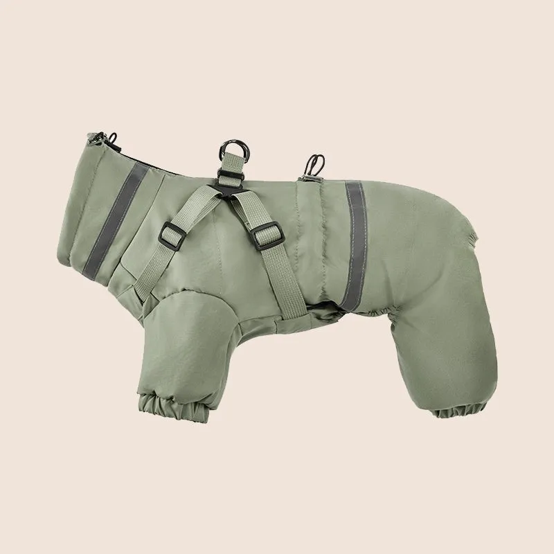 Four-leg dog cotton-padded jacket in Oxford fabric, khaki colour, worn on a dog, size M, for winter warmth