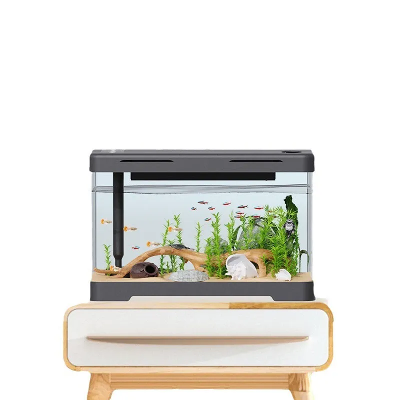 Acrylic fish tank transparent lazy design classic black bare cylinder aquarium