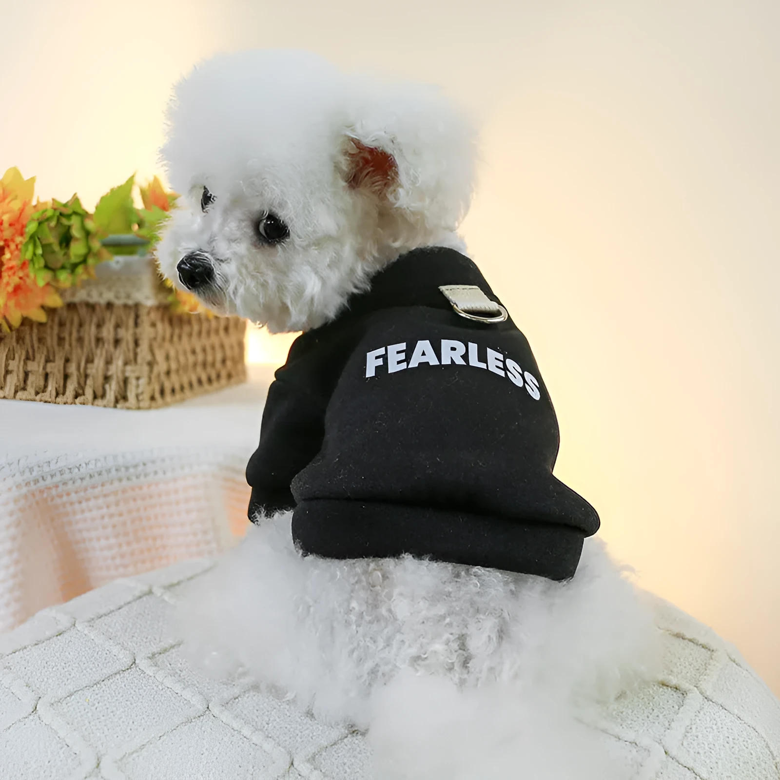 Pet traction sweater in black or red polyester with open buttons, sizes XS to XL